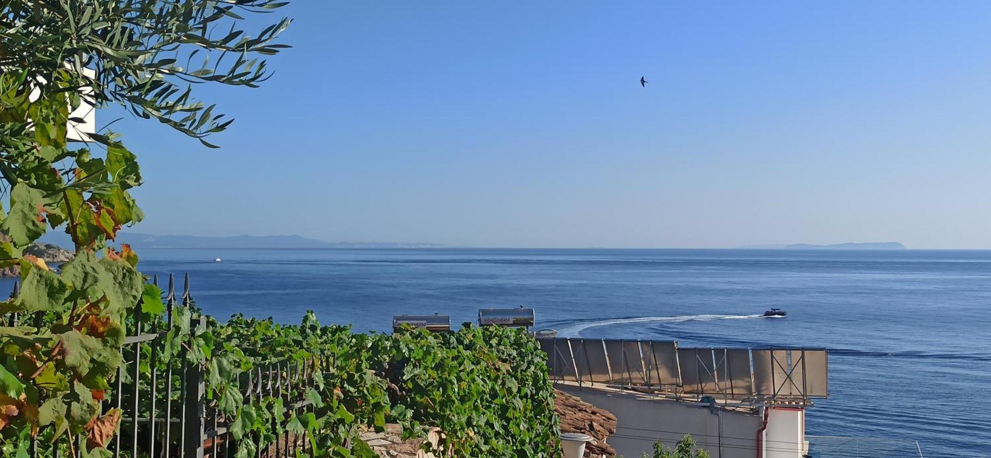 Relaxation Place Otel Himarë Dış mekan fotoğraf