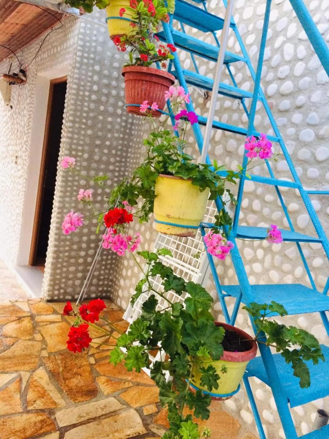 Relaxation Place Otel Himarë Dış mekan fotoğraf